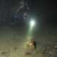 March 14, 2020 Redondo Beach Night Dive
