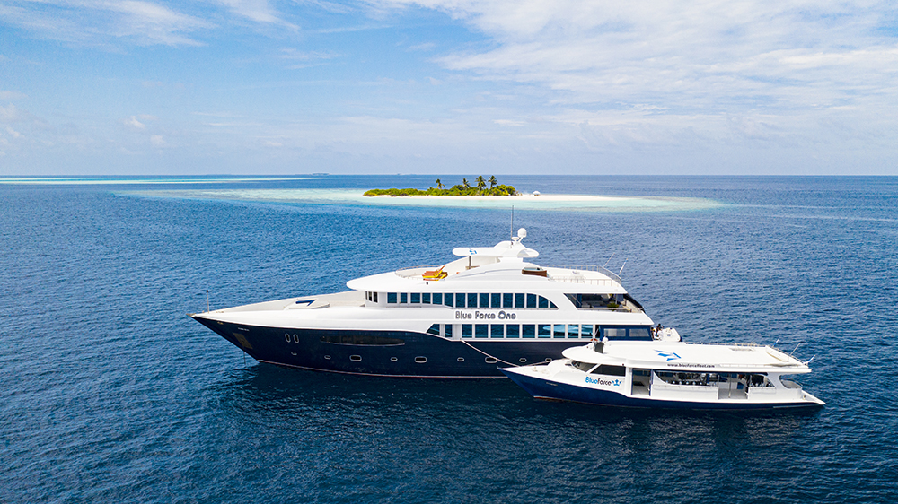 Southern Hemisphere, Maldives Diving and Eco Expedition 2026